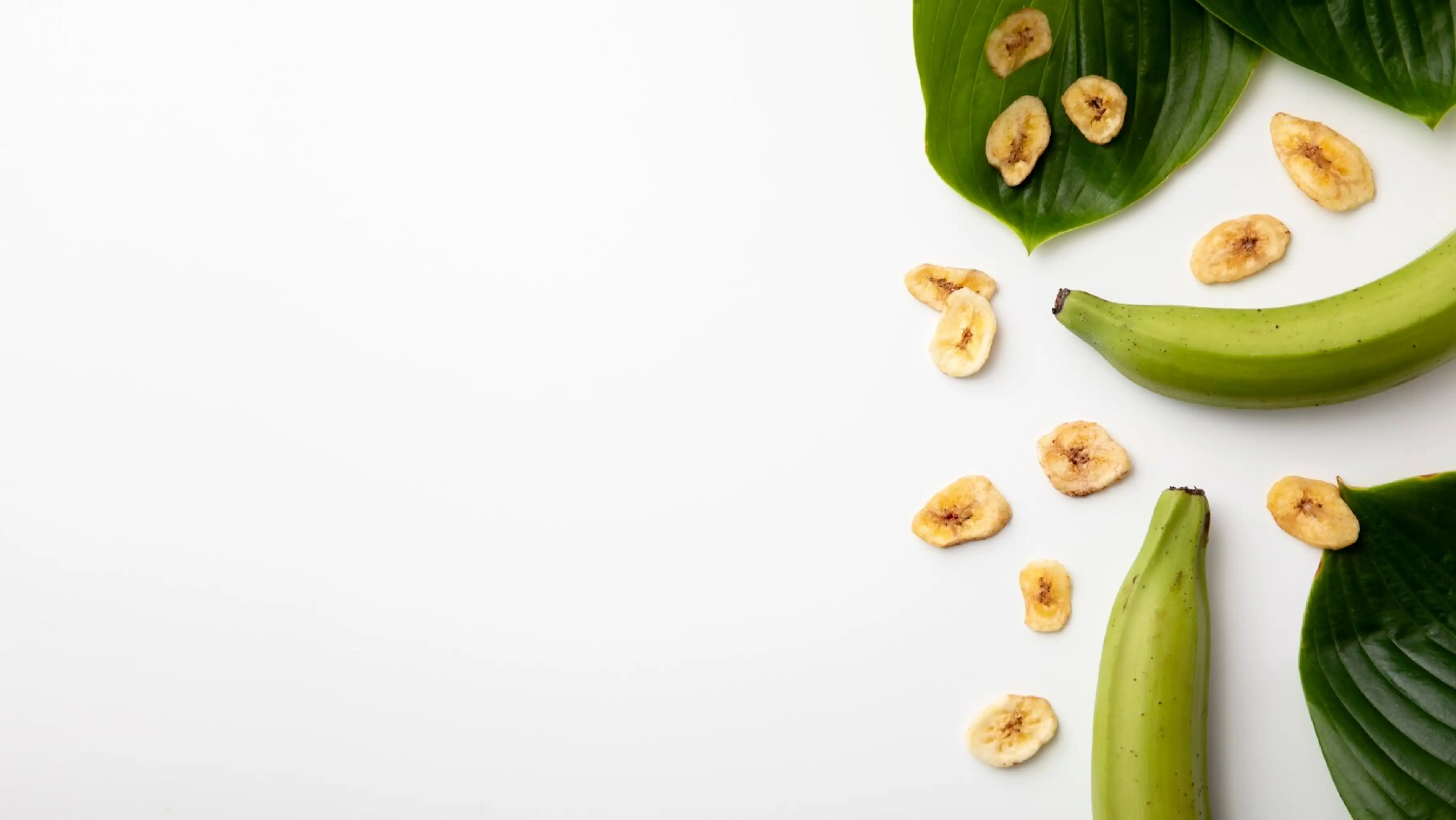 bg_sec_img_productlist_sctn7